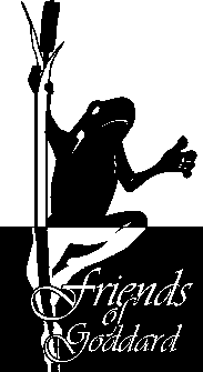 frog logo