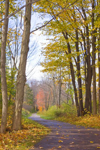 Goddard State Park bike trail